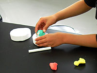 化石の「かた」につめていきます