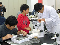 「このあたりを取り出して見てみましょう」