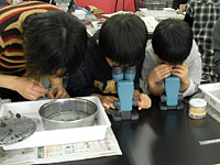 「どれがたねなのかなあ?」