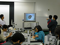 テレビに映し出された「たね」