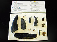 今回作成するプレートの完成見本