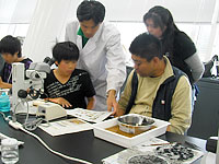 博物館自然教室「石の中から「たね」の化石をとりだそう！」のイメージ