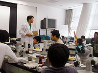 植物の「化石」について解説します