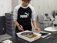 標本資料を選別していきます