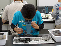 顕微鏡下での選別です