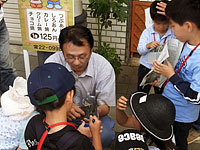 こんな感じの化石が入っています