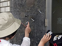 一見、何でもないところに化石が