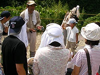 発見される化石について