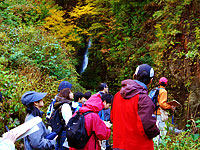 御堂ノ滝で柱状節理を観察しました。