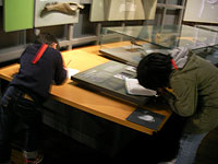 展示室では様々なホネを見ることができます。