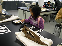 ホネほねクイズ、むずかしかったかな？