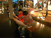 館内で骨格のスケッチをします