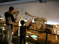 館内の実際の骨格をスケッチしました。