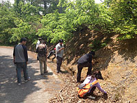 県境の大道谷層を観察