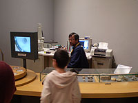 博物館自然教室「電子顕微鏡の世界」のイメージ