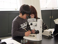 顕微鏡で器から微化石を採取します。