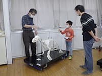 博物館自然教室「骨のかけらから動物を推理する」のイメージ