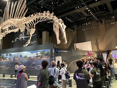 特別展ツアー「特別展の展示解説　第1回」のイメージ