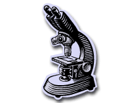 地学指導者実技講座「野外実習：恐竜化石発掘現場での地層観察1回目」のイメージ