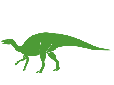博物館自然教室「恐竜化石をミクロな目で観察しよう！」のイメージ