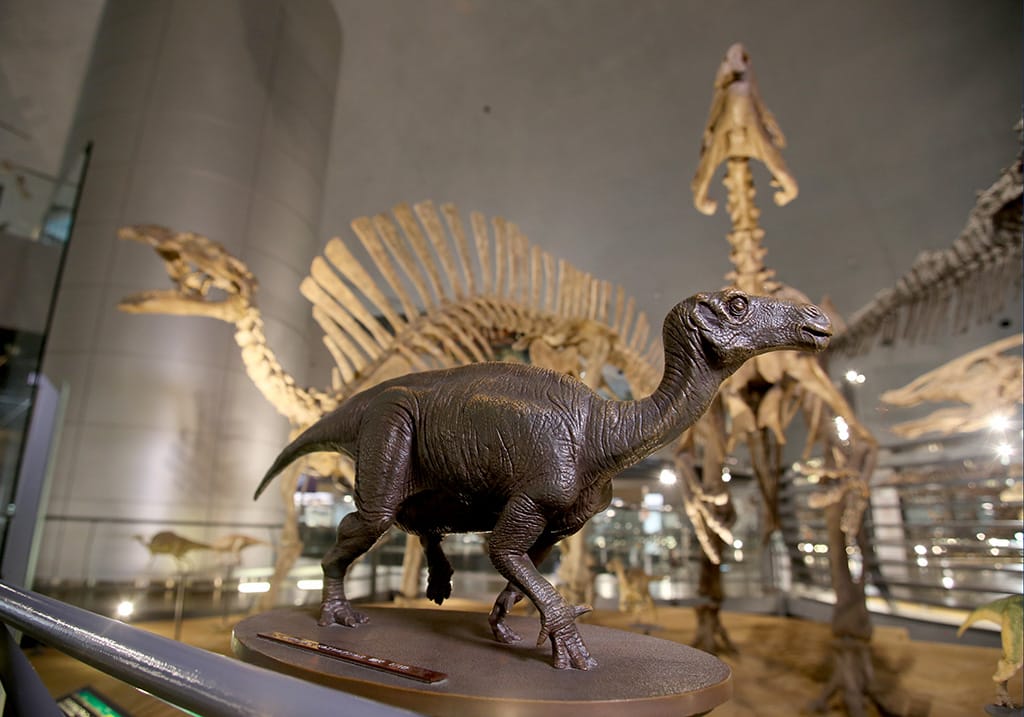 常設展示室内にあるブロンズ製のさわれる恐竜模型