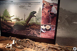 ルーフェンゴサウルスの最期