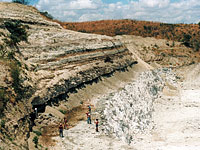 ブラジルの化石産地