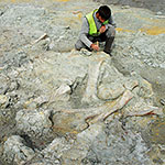 ロ・ウエコの化石産地