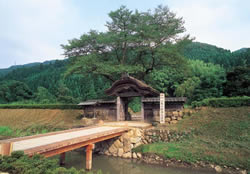 Ichijodani Asakura Clan Ruins