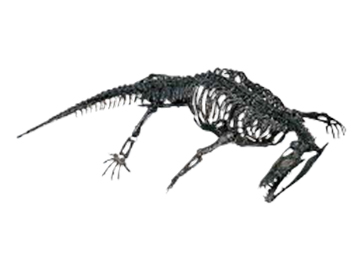 ノトサウルスの一種