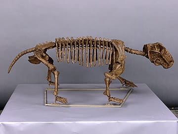 リストロサウルスの一種