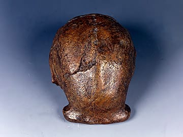 ホモ・エレクトス・ペキネンシス（北京原人）