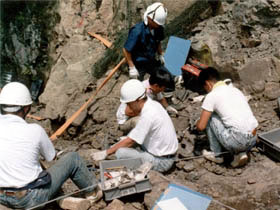 調査員の手作業による化石の確認