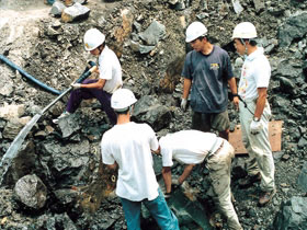 泥を水で洗いながらの化石の確認作業