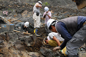 調査員による化石の確認作業