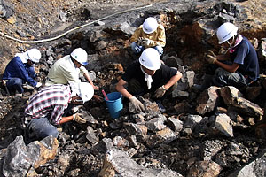 調査員による化石の確認作業