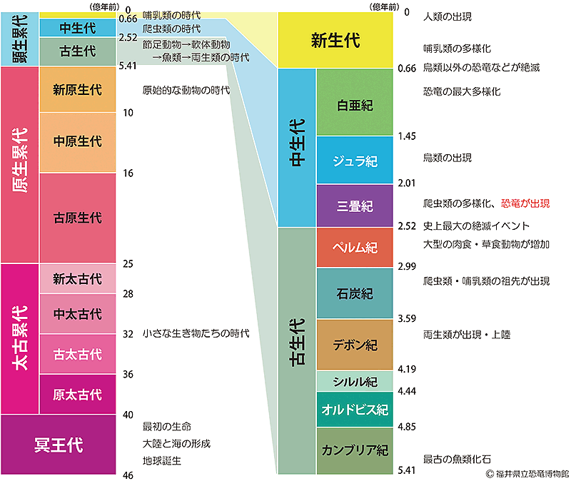 三畳紀 ジュラ紀 白亜紀といった地質時代の名前の由来は 恐竜 古生物 Q A Fpdm 福井県立恐竜博物館