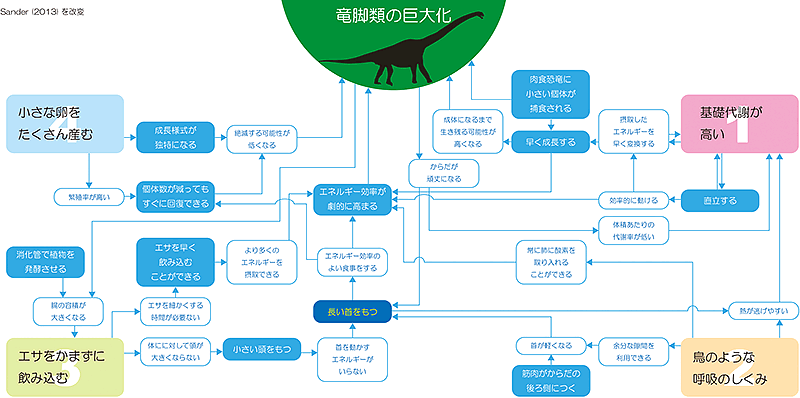 竜脚類の巨大化に関係する要素の模式図