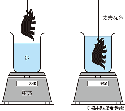 模型を水に入れて推定する方法の模式図。