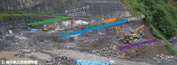 勝山市北谷町の恐竜化石発掘現場