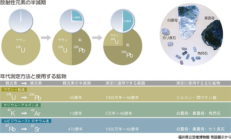 放射性元素の半減期の模式図と、放射年代測定に使われる鉱物の例