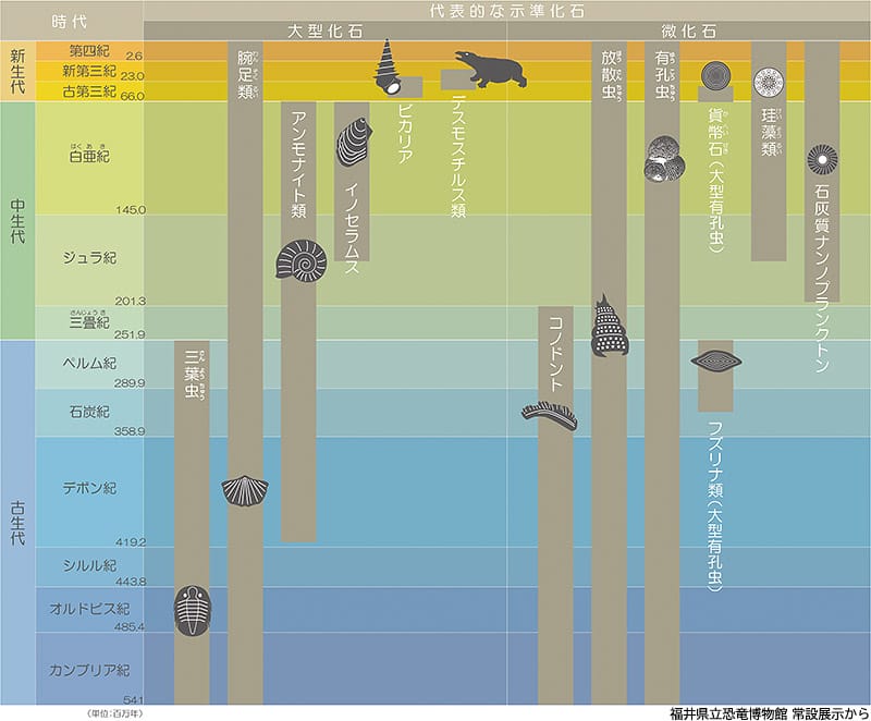 示準化石の例