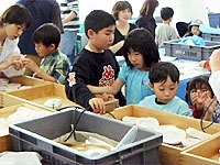 レプリカの型を選びます