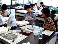 木の化石をみがきます