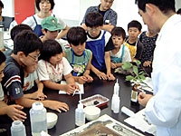 作成手順のおさらいです