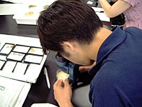 砂の形が見えますか？