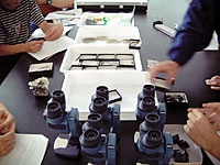 いろいろな標本を用意しました