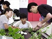 こども自然教室「押し葉標本をつくろう」のイメージ