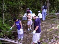 まず博物館のそばで、植物を採集します
