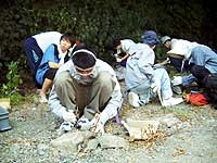 博物館セミナー「実習講座② 大型化石研究法－野外編－」のイメージ